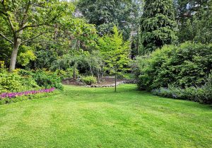 Optimiser l'expérience du jardin à Malissard